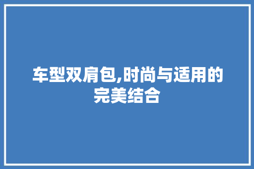 车型双肩包,时尚与适用的完美结合