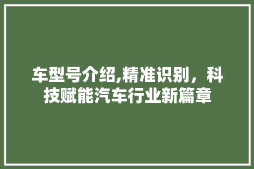 车型号介绍,精准识别，科技赋能汽车行业新篇章