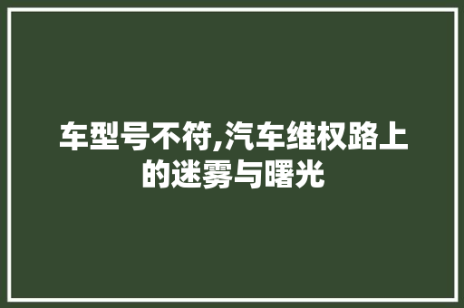 车型号不符,汽车维权路上的迷雾与曙光