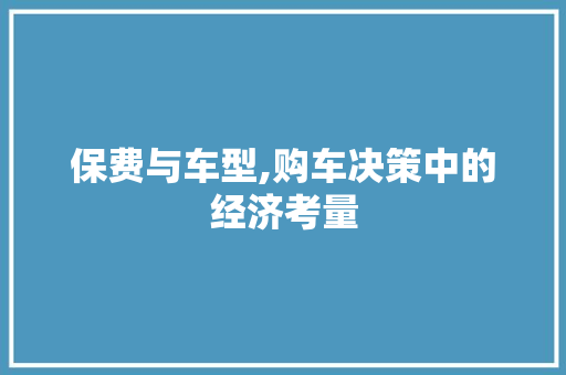 保费与车型,购车决策中的经济考量