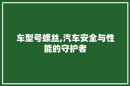 车型号螺丝,汽车安全与性能的守护者 变速箱配件