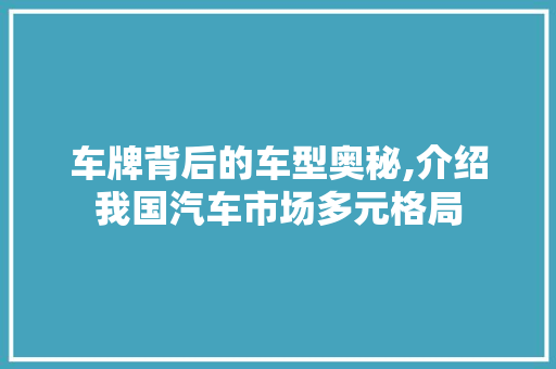 车牌背后的车型奥秘,介绍我国汽车市场多元格局