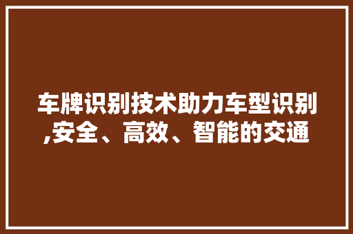 车牌识别技术助力车型识别,安全、高效、智能的交通管理新时代