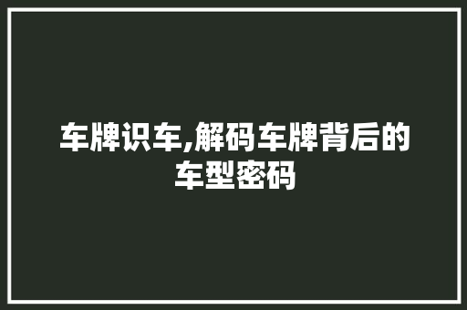 车牌识车,解码车牌背后的车型密码