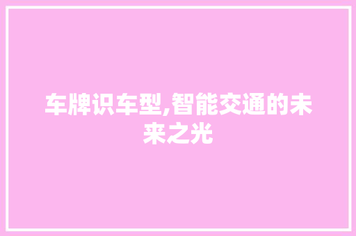 车牌识车型,智能交通的未来之光