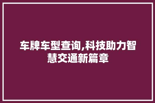 车牌车型查询,科技助力智慧交通新篇章