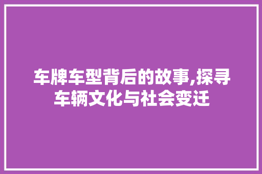 车牌车型背后的故事,探寻车辆文化与社会变迁