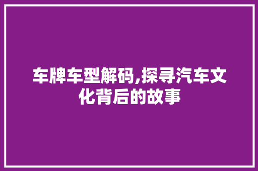车牌车型解码,探寻汽车文化背后的故事