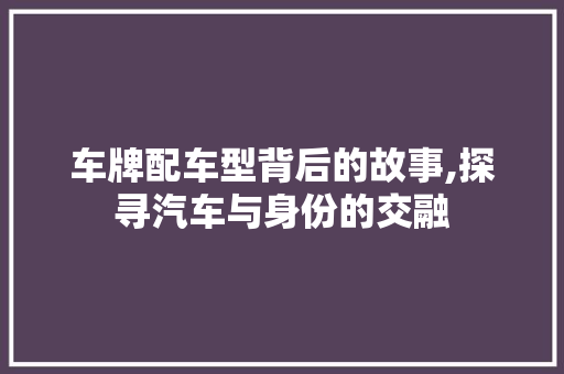 车牌配车型背后的故事,探寻汽车与身份的交融