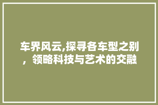 车界风云,探寻各车型之别，领略科技与艺术的交融