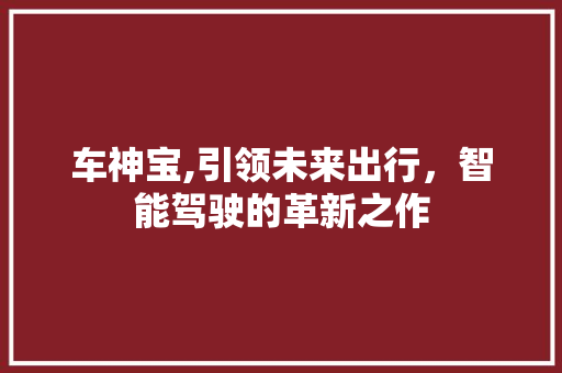 车神宝,引领未来出行，智能驾驶的革新之作
