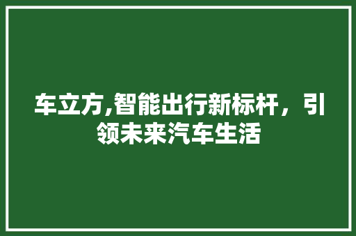 车立方,智能出行新标杆，引领未来汽车生活