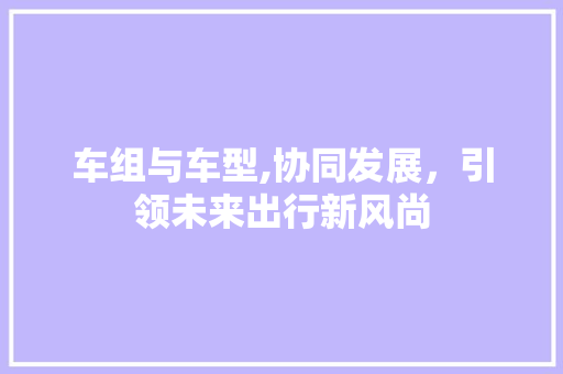 车组与车型,协同发展，引领未来出行新风尚