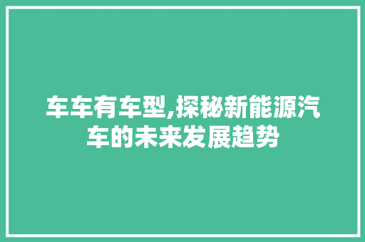 车车有车型,探秘新能源汽车的未来发展趋势