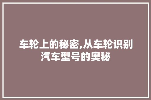 车轮上的秘密,从车轮识别汽车型号的奥秘