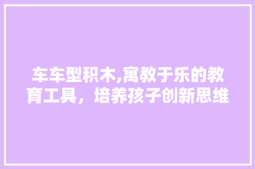 车车型积木,寓教于乐的教育工具，培养孩子创新思维