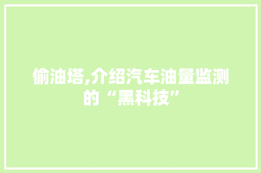 偷油塔,介绍汽车油量监测的“黑科技”