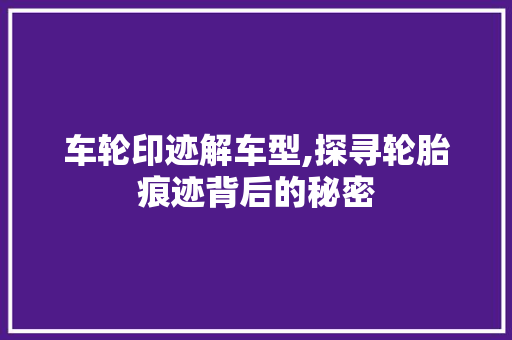 车轮印迹解车型,探寻轮胎痕迹背后的秘密