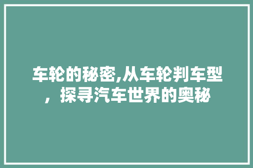 车轮的秘密,从车轮判车型，探寻汽车世界的奥秘