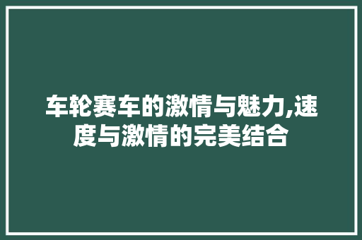车轮赛车的激情与魅力,速度与激情的完美结合