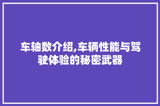 车轴数介绍,车辆性能与驾驶体验的秘密武器