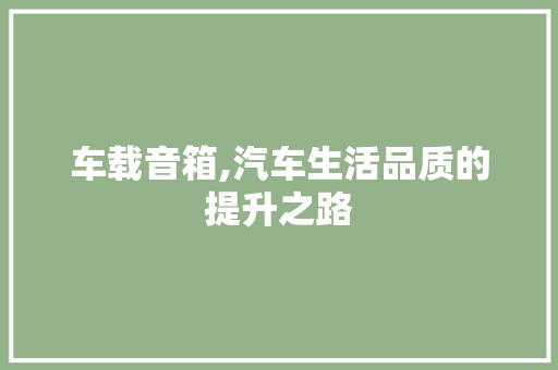 车载音箱,汽车生活品质的提升之路