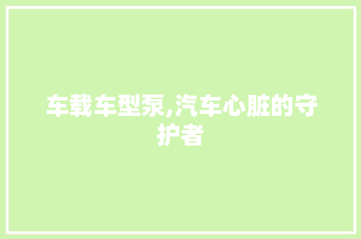 车载车型泵,汽车心脏的守护者
