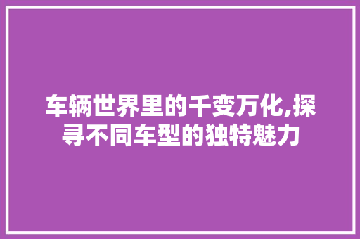 车辆世界里的千变万化,探寻不同车型的独特魅力