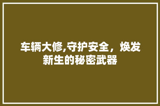 车辆大修,守护安全，焕发新生的秘密武器