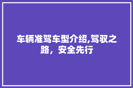车辆准驾车型介绍,驾驭之路，安全先行
