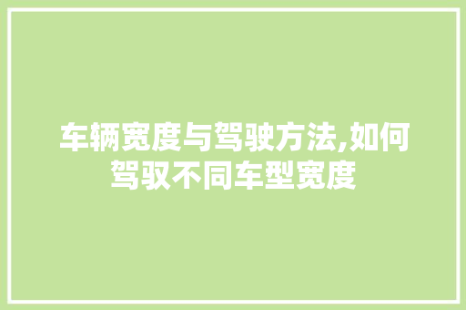 车辆宽度与驾驶方法,如何驾驭不同车型宽度