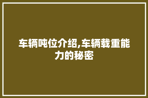 车辆吨位介绍,车辆载重能力的秘密
