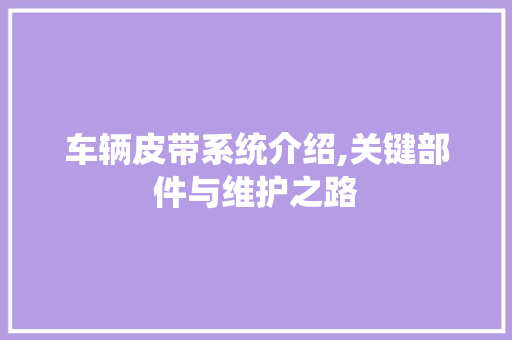 车辆皮带系统介绍,关键部件与维护之路