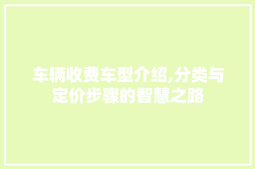 车辆收费车型介绍,分类与定价步骤的智慧之路