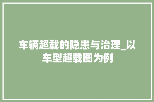 车辆超载的隐患与治理_以车型超载图为例