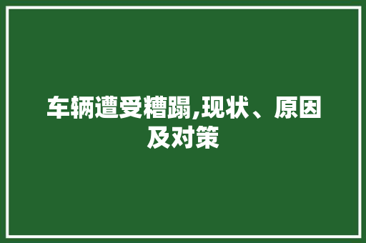车辆遭受糟蹋,现状、原因及对策