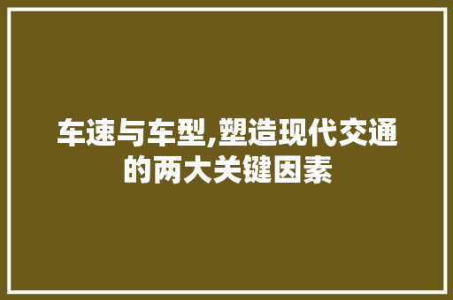 车速与车型,塑造现代交通的两大关键因素
