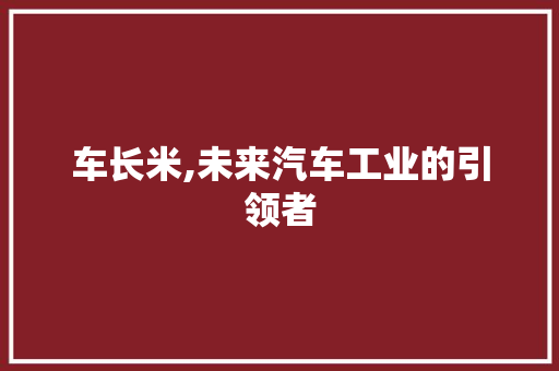 车长米,未来汽车工业的引领者