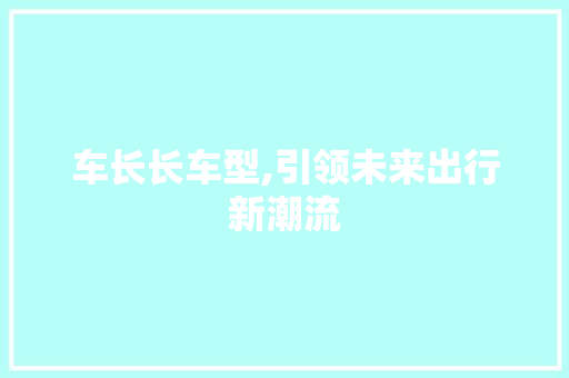 车长长车型,引领未来出行新潮流