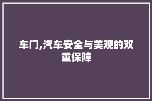 车门,汽车安全与美观的双重保障
