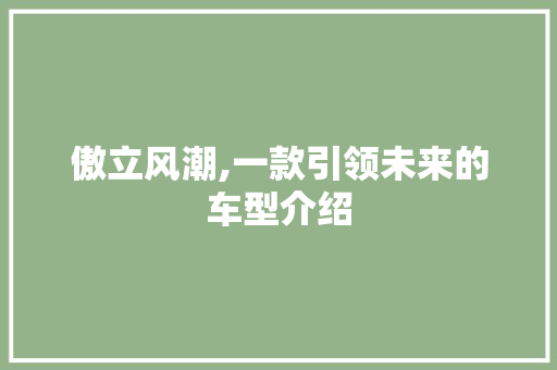 傲立风潮,一款引领未来的车型介绍