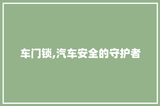 车门锁,汽车安全的守护者