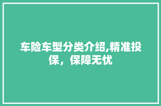 车险车型分类介绍,精准投保，保障无忧