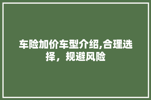 车险加价车型介绍,合理选择，规避风险