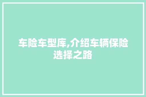 车险车型库,介绍车辆保险选择之路
