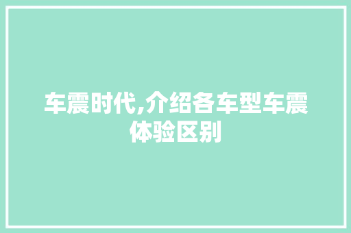 车震时代,介绍各车型车震体验区别