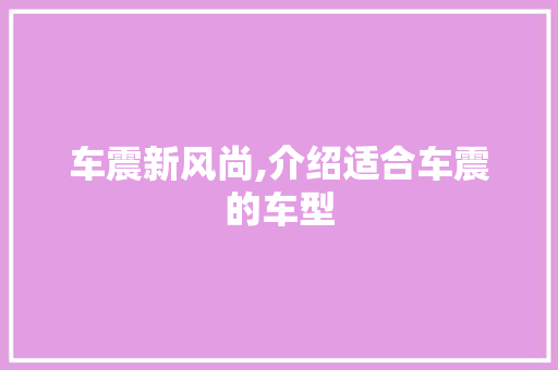 车震新风尚,介绍适合车震的车型 车身配件
