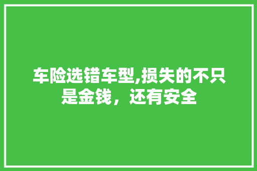 车险选错车型,损失的不只是金钱，还有安全