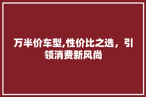 万半价车型,性价比之选，引领消费新风尚