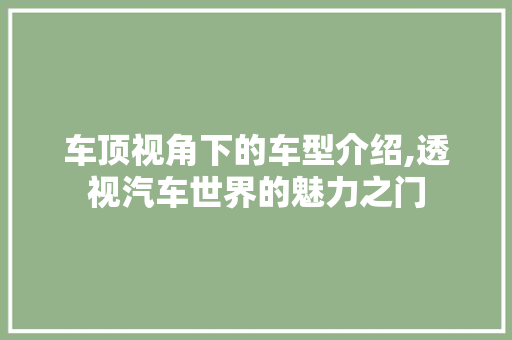车顶视角下的车型介绍,透视汽车世界的魅力之门